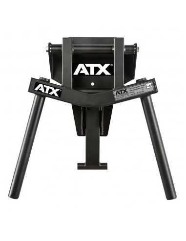 Barres à dips professionnelles pliables ATX à fixer au mur charge 350 kg 