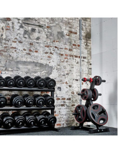 Arbre de rangement ATX pour disques olympiques et barre 7 supports 