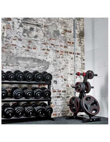 Arbre de rangement ATX pour disques olympiques et barre 7 supports 