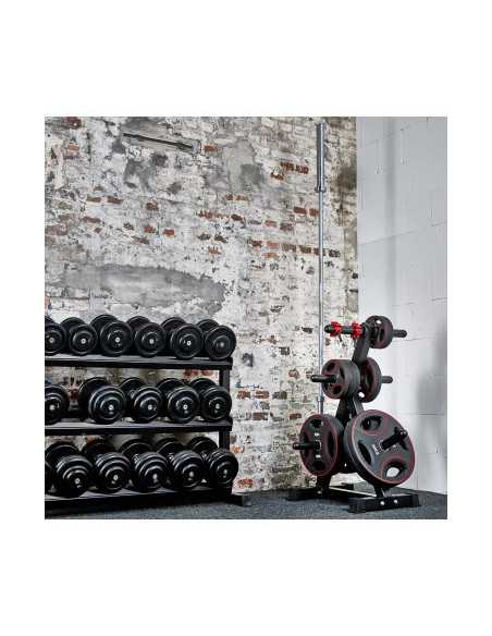 Arbre de rangement ATX pour disques olympiques et barre 7 supports 