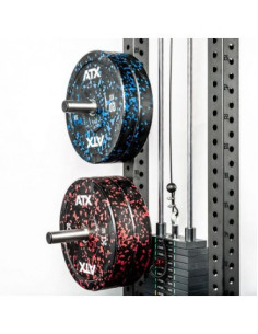 Paire de tiges de stockage d'occasion pour disques de poids olympiques sur rigs de crosstraining ATX - Prix bas - Etat neuf 