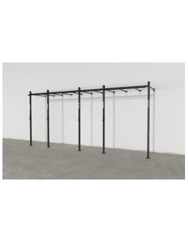 Station Royal Kingsbox de cross-training professionnelle à fixation murale avec échelle de pompier intégrée 