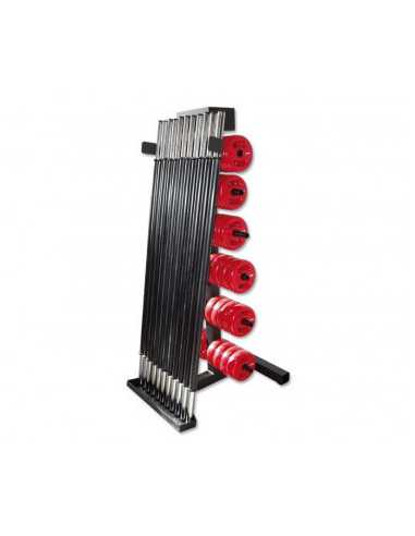 Rack de rangement ATX pour salle de sport et homegym : 16 jeux de disques 