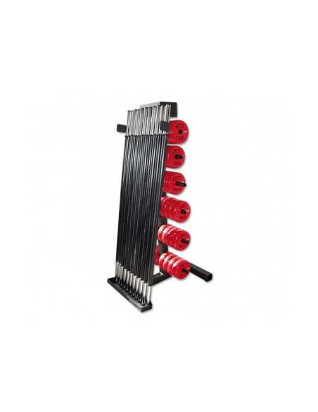 Rack de rangement ATX pour salle de sport et homegym : 16 jeux de disques 