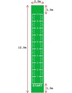Piste en gazon synthétique vert 12 x 2 mètres avec marquage pour crosstraining et musculation