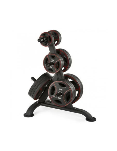 Arbre de rangement ATX pour disques de poids standards de diamètre 30 mm 