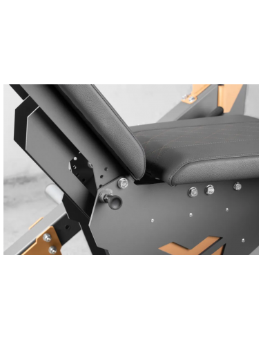 Appareil professionnel en acier de leg curl et leg extension avec capacité de charge extrême - Kingsbox 