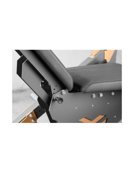 Appareil professionnel en acier de leg curl et leg extension avec capacité de charge extrême - Kingsbox 