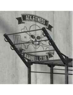 Option échelle de traction ATX professionnelle pour plateformes rigs de crosstraining 