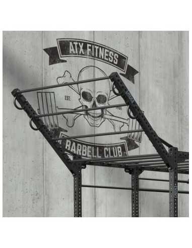 Option échelle de traction ATX professionnelle pour plateformes rigs de crosstraining 