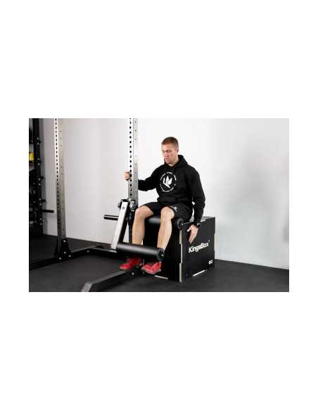 Leg Curl Extension pour racks et rigs de musculation Kingsbox série Royal 