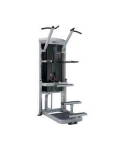 Appareil de musculation professionnel pour réalisation de dips et de tractions à charge guidée