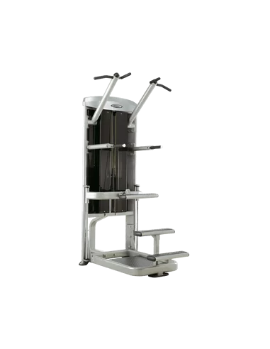 Steelflex Mega Power Chin up et Dips MCD2100-Home-musculation-Pas cher