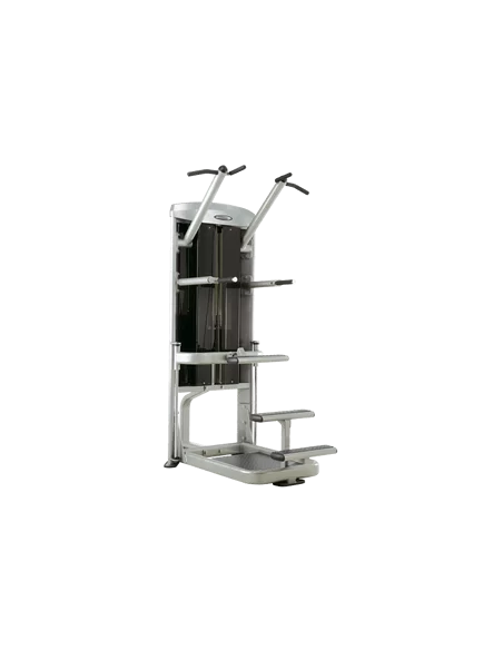 Steelflex Mega Power Chin up et Dips MCD2100-Home-musculation-Pas cher