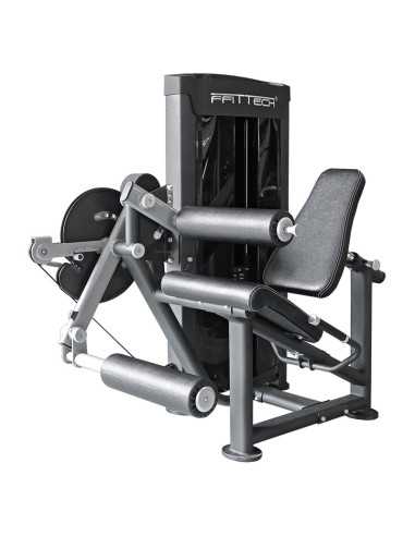 (Double) Extension et curl des jambes assises