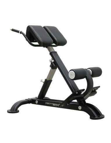 Lower Back Bench 