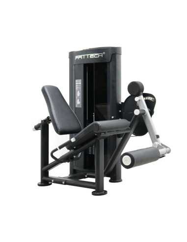 Seated Leg Extension 