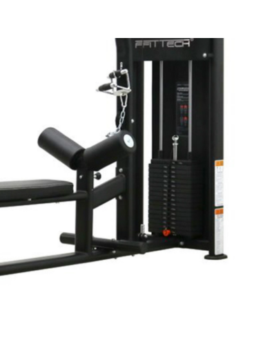 FFITTECH Lat Pulldown & Low Row PGM57-Home-musculation-Pas cher