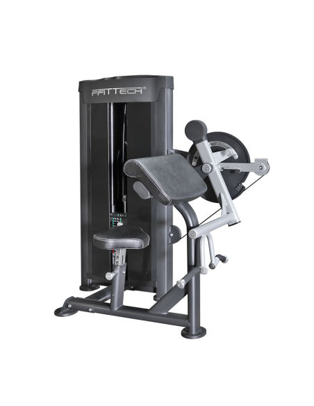 FFITTECH Dual Biceps and Triceps FSM22B 