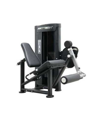 FFITTECH Leg Extension