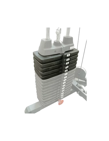 Body-Solid Poids Optionnel de 22.5 kg SP50-Home-musculation-Pas cher