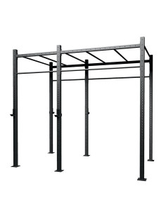 Cage 2 travées autoportantes TOORX MASTER avec monkey station G75-2AMS 