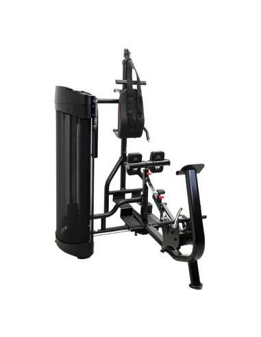 Station Dual  INSPIRE pour les abdominaux et le dos - Home gym de musculation-Home-musculation-Pas cher