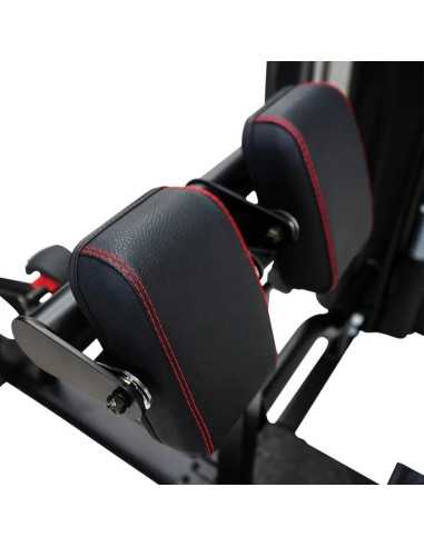 Station Dual  INSPIRE pour les abdominaux et le dos - Home gym de musculation-Home-musculation-Pas cher