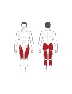 Dual Leg press/Hack Squat à charge guidée pour salle de sport professionnelle-Home-musculation-Pas cher 2