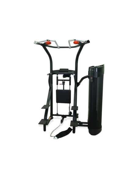 Station d'entraînement pour exercices de musculation - Chaise romaine traction et Dips-Home-musculation-Pas cher