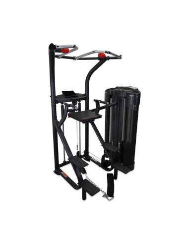 Station d'entraînement pour exercices de musculation - Chaise romaine traction et Dips-Home-musculation-Pas cher
