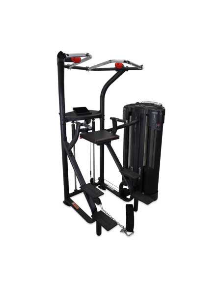Station d'entraînement pour exercices de musculation - Chaise romaine traction et Dips-Home-musculation-Pas cher