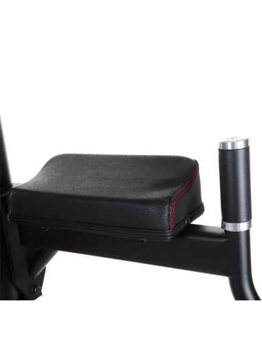 Chaise romaine Finnlo Maximum Vertical Knee  - Homegym et salle de sport-Home-musculation-Pas cher