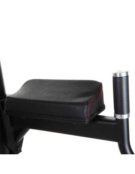 Chaise romaine Finnlo Maximum Vertical Knee  - Homegym et salle de sport-Home-musculation-Pas cher