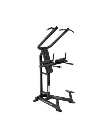 Chins Platinum Series  PTT0219F-Home-musculation-Pas cher