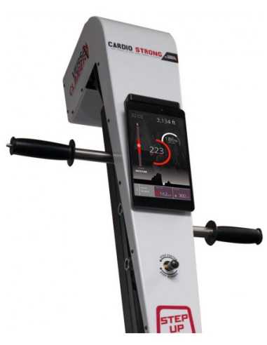 VersaClimber 108 TS-Home-musculation-Pas cher