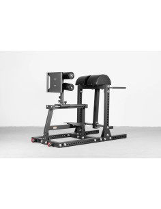 Appareil de musculation combiné Glute Ham Developper et Reverse Hyper Curl pour entraînement de musculation complet