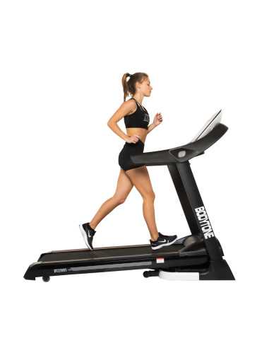 Tapis de course DT22W