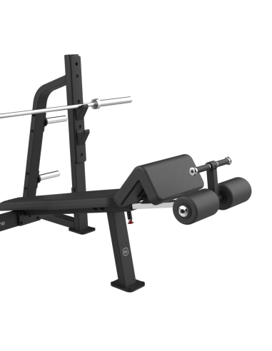 Presse olympique déclinée - Bodytone-Home-musculation-Pas cher