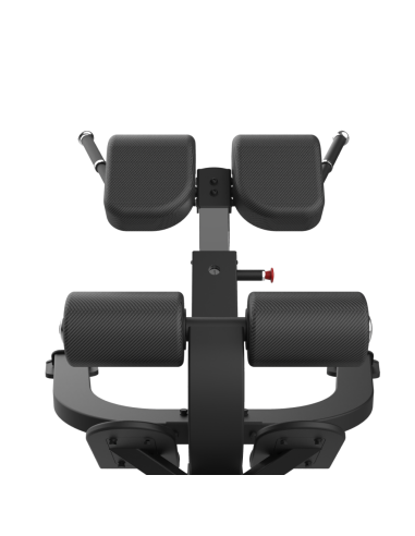 Bank of hiperextensiones FBC12 - Bodytone