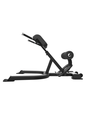 Bank von Hiperextensiones FBC12 – Bodytone