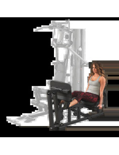 Body-Solid Poste Extension Leg Press-Calf Press GLP pour...