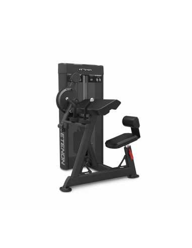 Dual Biceps Triceps 