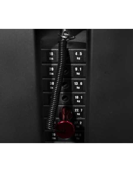 PC20 Butterfly - Deltoides 