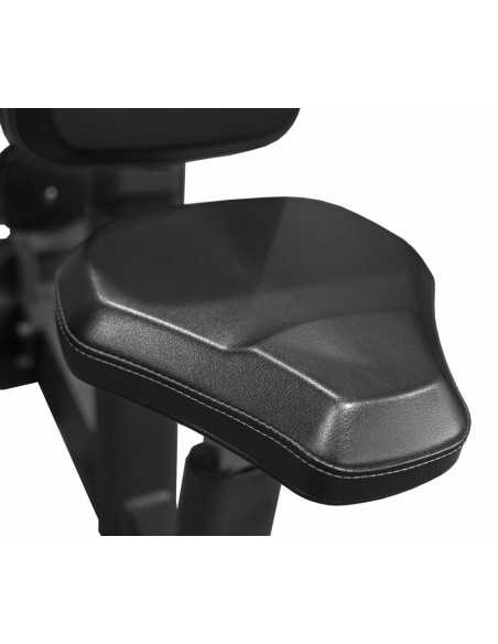 PC20 Butterfly - Deltoides 