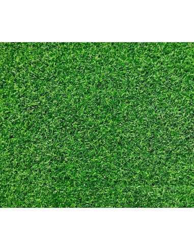 Pelouse escalier fonctionnel 