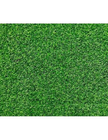 Pelouse escalier fonctionnel 