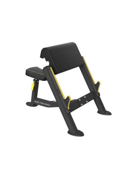 PTT02 Banc Biceps 