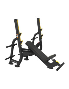 PTT02 Banc Développé Incliné
