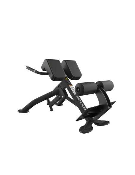 PTT02 Banc Lombaires 45º 